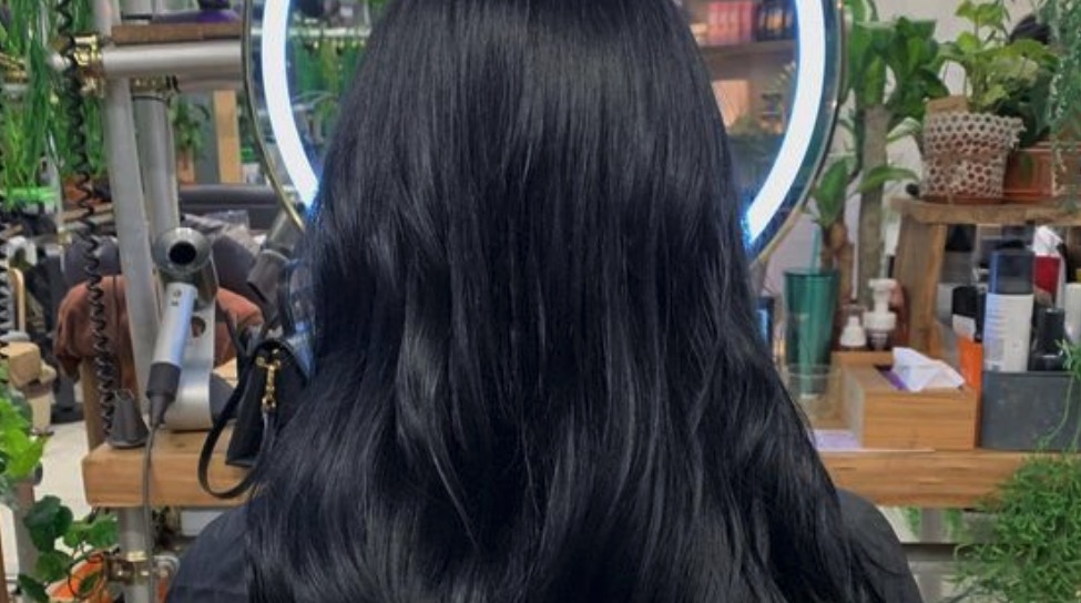 best salons for natural black hair in nyc