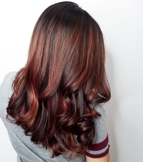 Mahogany Hair Color with Oxidant ( 5.56 Bremod Permanent Hair Color ) |  Shopee Philippines