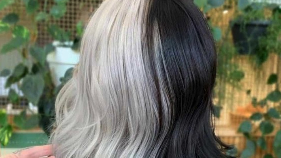 split half and half hair color ideas