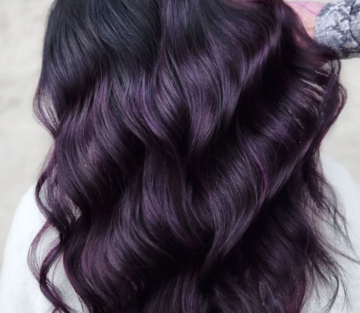 Exploring the Allure of Black Violet Hair Color